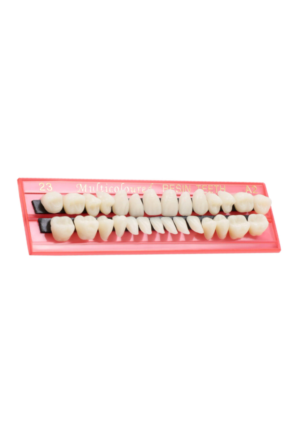 Resin Setting Teeth